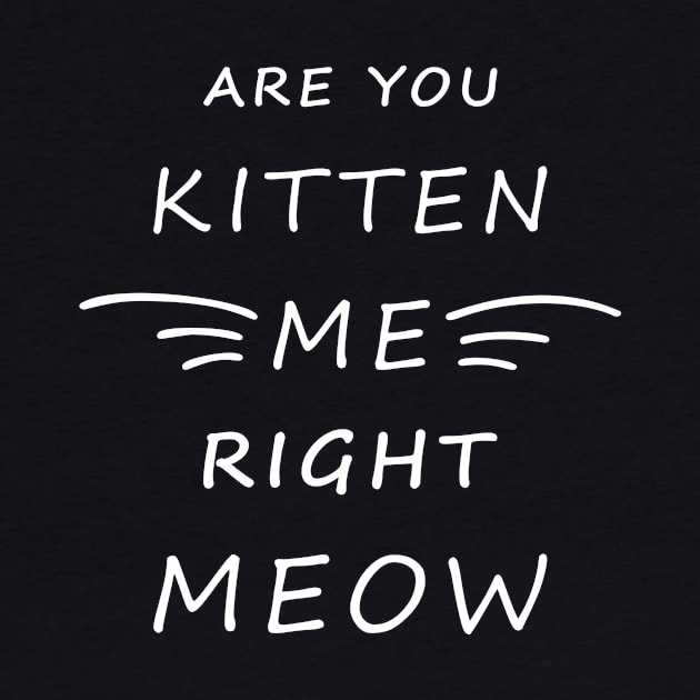 Are You Kitten Me Right Meow by Lasso Print